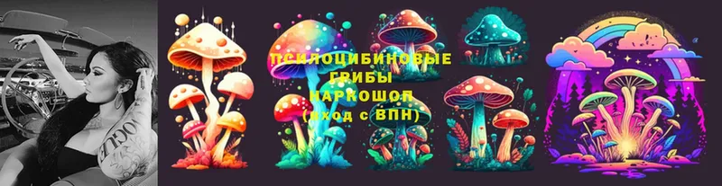 Псилоцибиновые грибы Psilocybe  hydra сайт  Вельск 